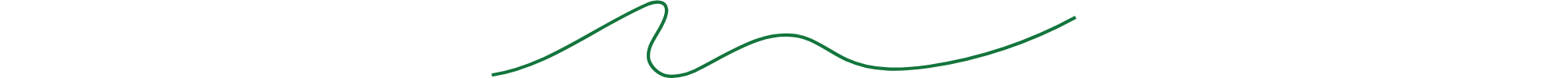 Divider Image